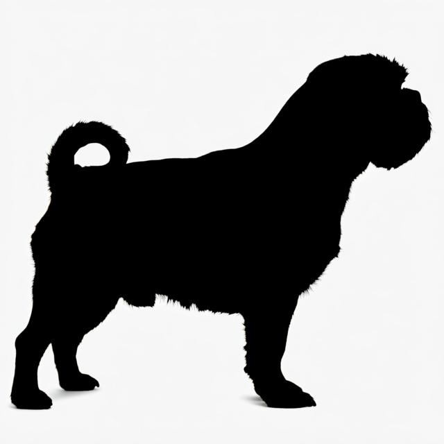 Standing View Standing View